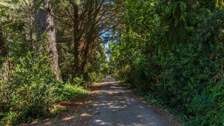 260 Hayland Road Okuku_23