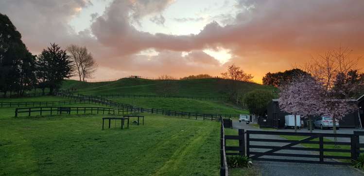 57 Pukerimu Lane Cambridge_17