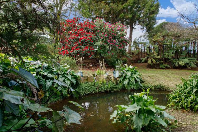 50 Kent Crescent Waihi_18