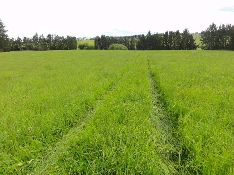 573 Glenmark Drive Waipara_5