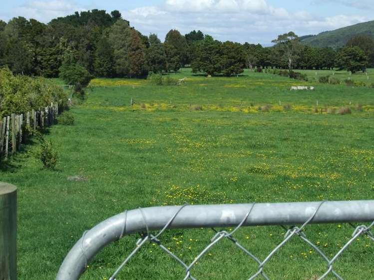 95 Hinau Gully Road Carterton_8