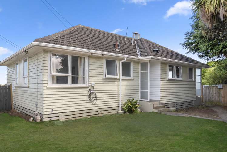 24 Mahoe Street Levin_9