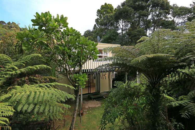 181 Konini Road Titirangi_23