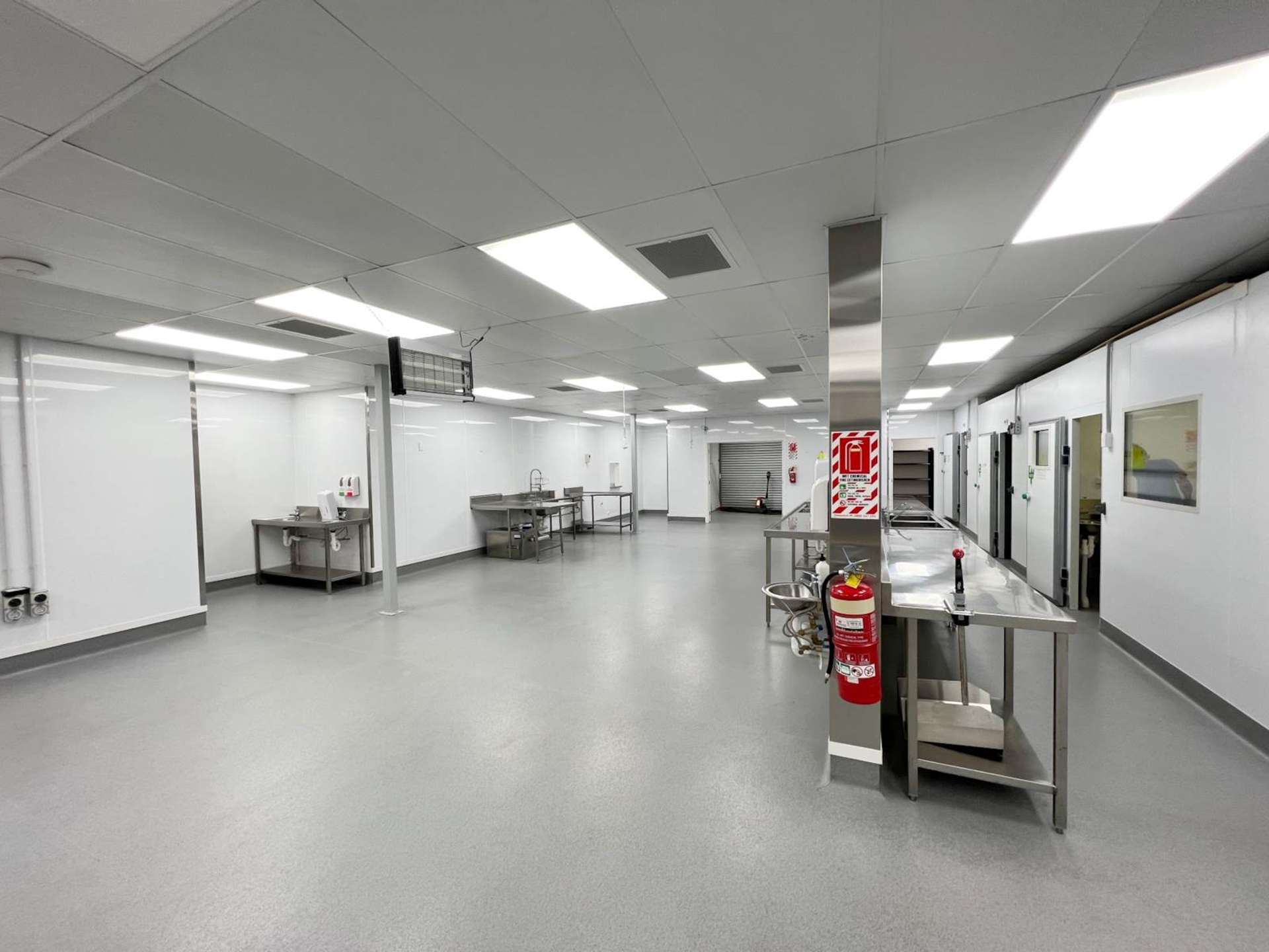 3 Burns Street Grey Lynn_0