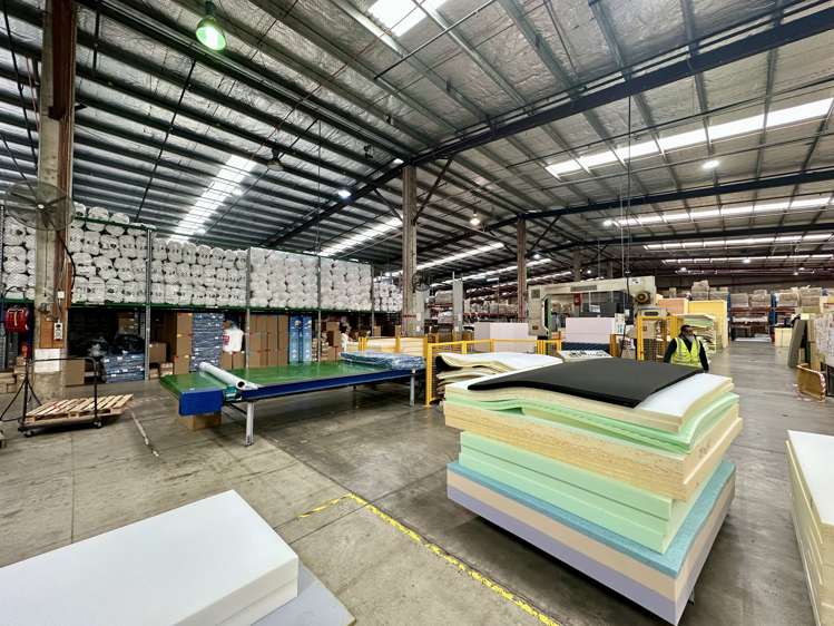 670 Rosebank Road Avondale_6