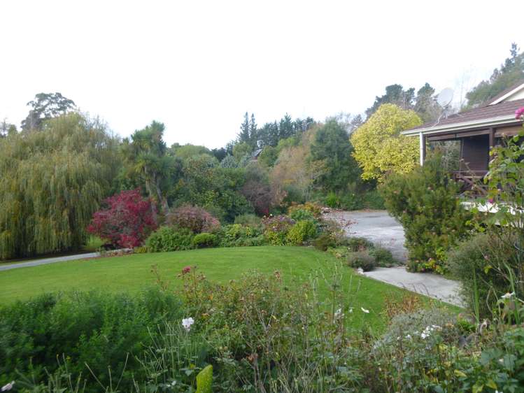 99 Pye Road Geraldine_8