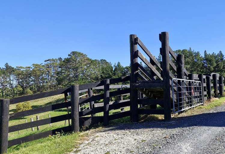 184 Monarch Downs Way Matakana_24