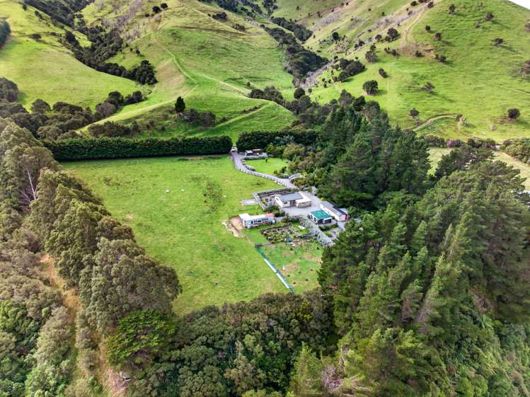 331 Upper Waingawa Road Masterton_12