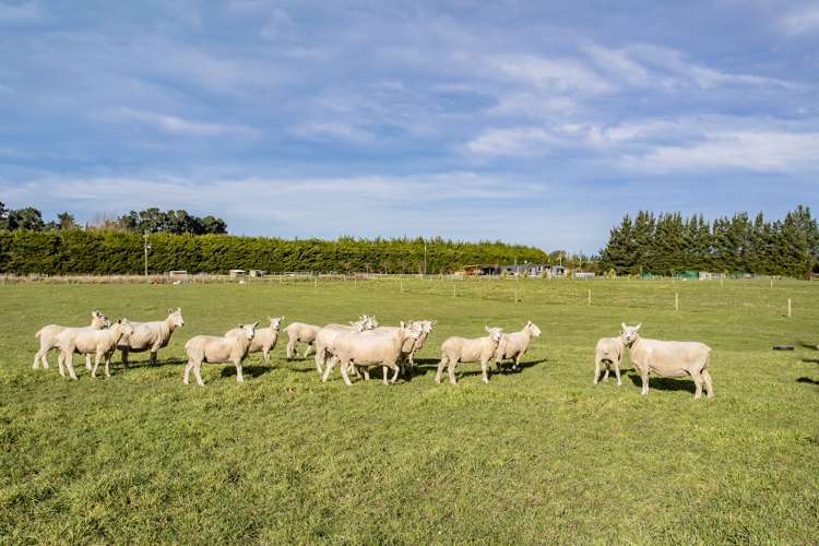 10 Kingfisher Lane Loburn_13