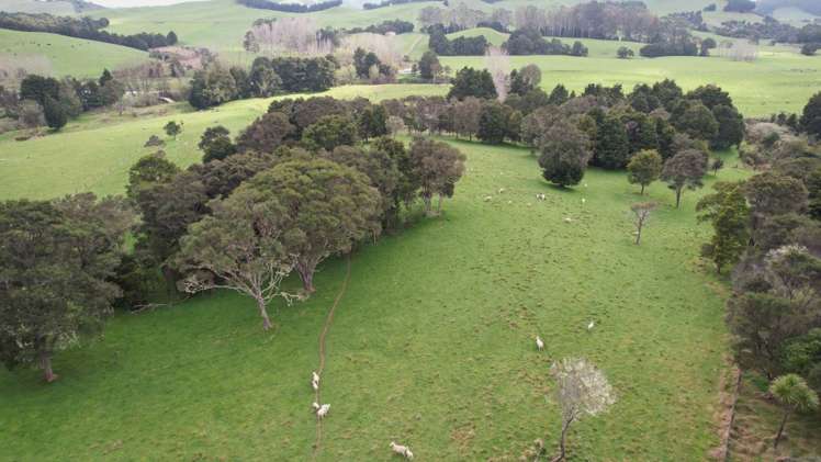 966 Te Ahu Ahu Road Kerikeri Surrounds_8