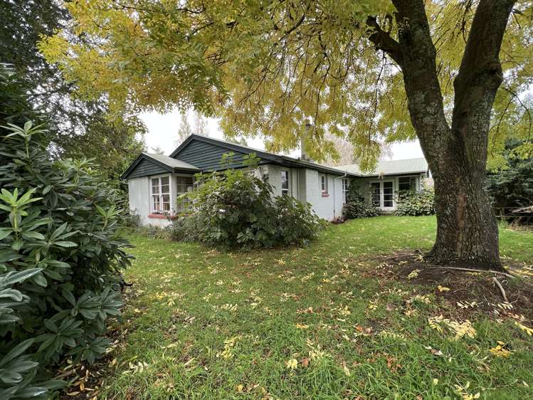 80 Hobbs Road Methven_13