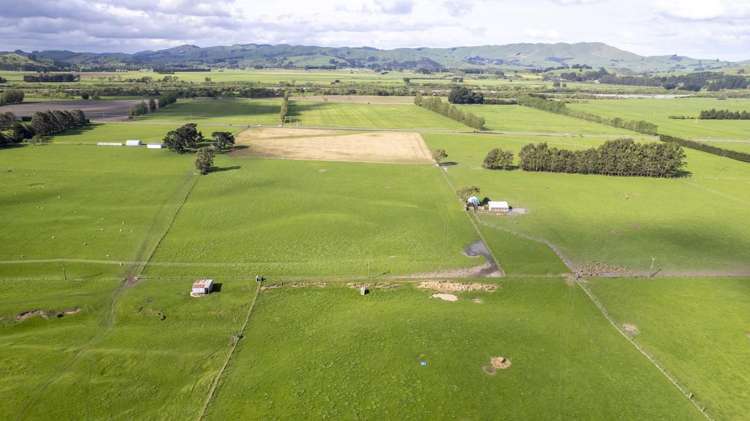 1007 State Highway 2 Masterton_14