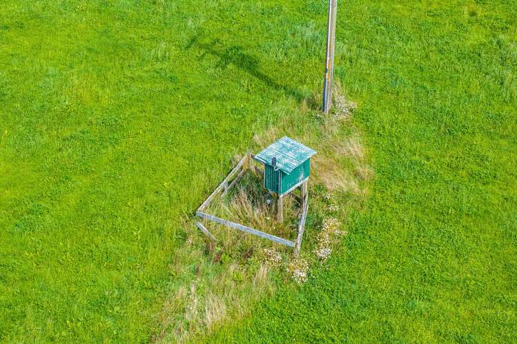 State Highway 1 Koromiko_11