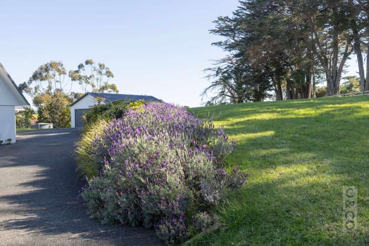 221 Amreins Road Taupaki_41