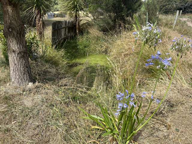 Castle Hill Road Eketahuna_2