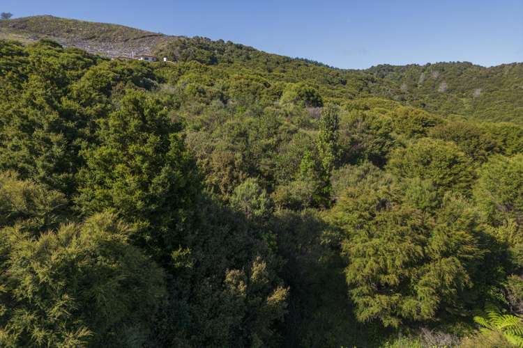 42 Radar Road Hot Water Beach_13