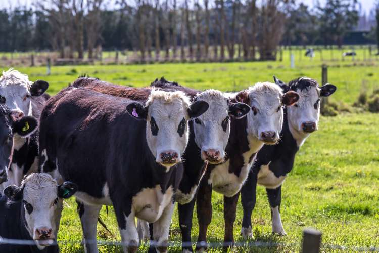 264 Greenpark Road Lincoln_19