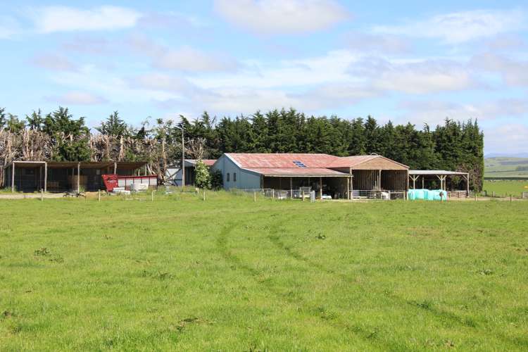 82 Pike Road Winton Surrounds_6