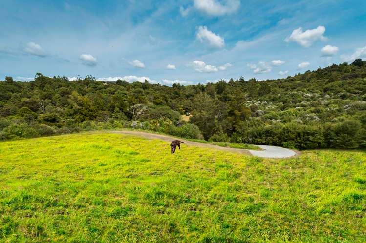 31 Karahiwi Lane Dairy Flat_11