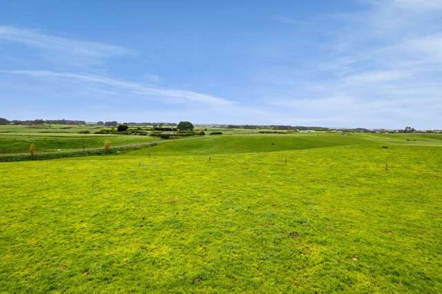 226 Ngarongo Road Normanby_3