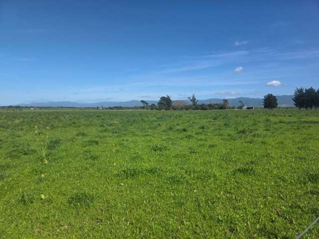 Kahutara Road Martinborough_2