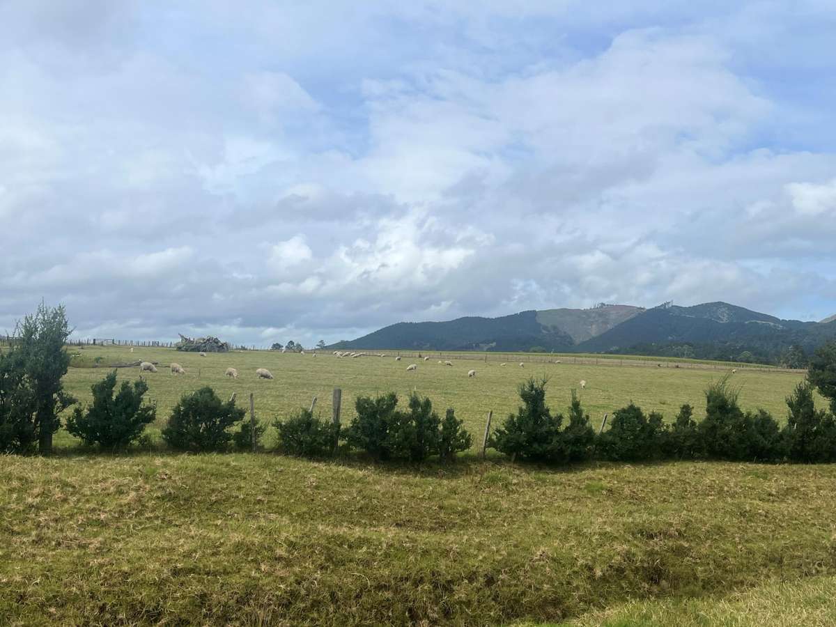 3567 Mangakahia Road_1