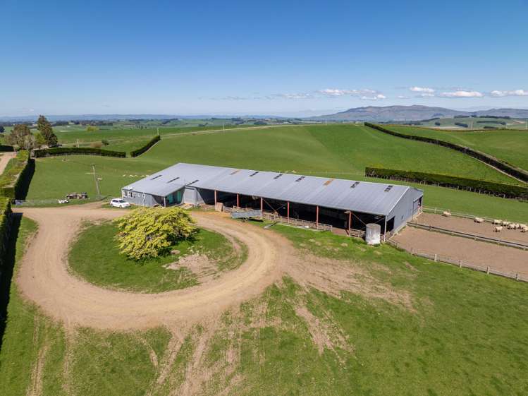 192 Robertson Road Waikaka_17