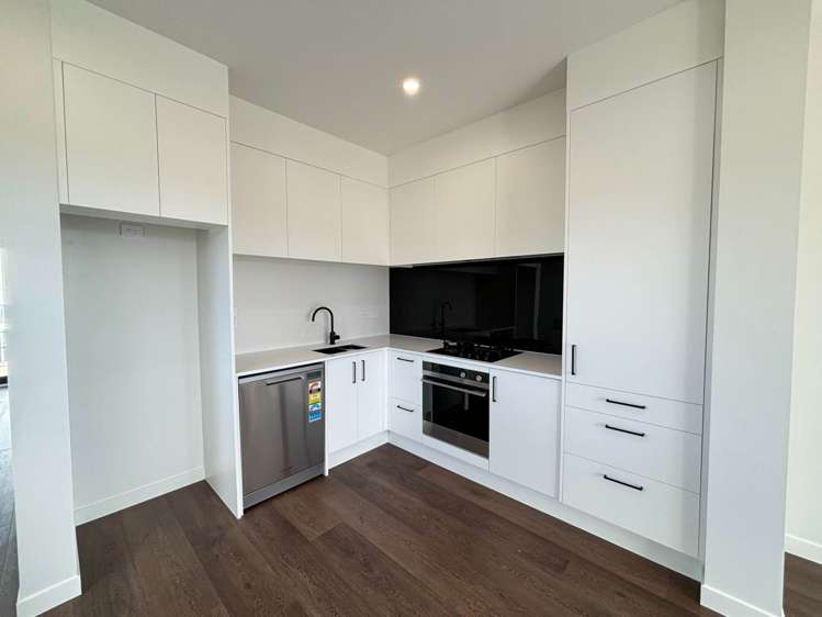 42 Long George Drive Flat Bush_4