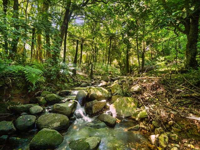 348D Rea Road Katikati_2