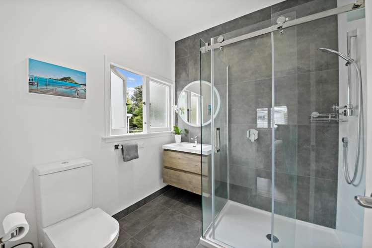 19 Jersey Avenue Mount Albert_15