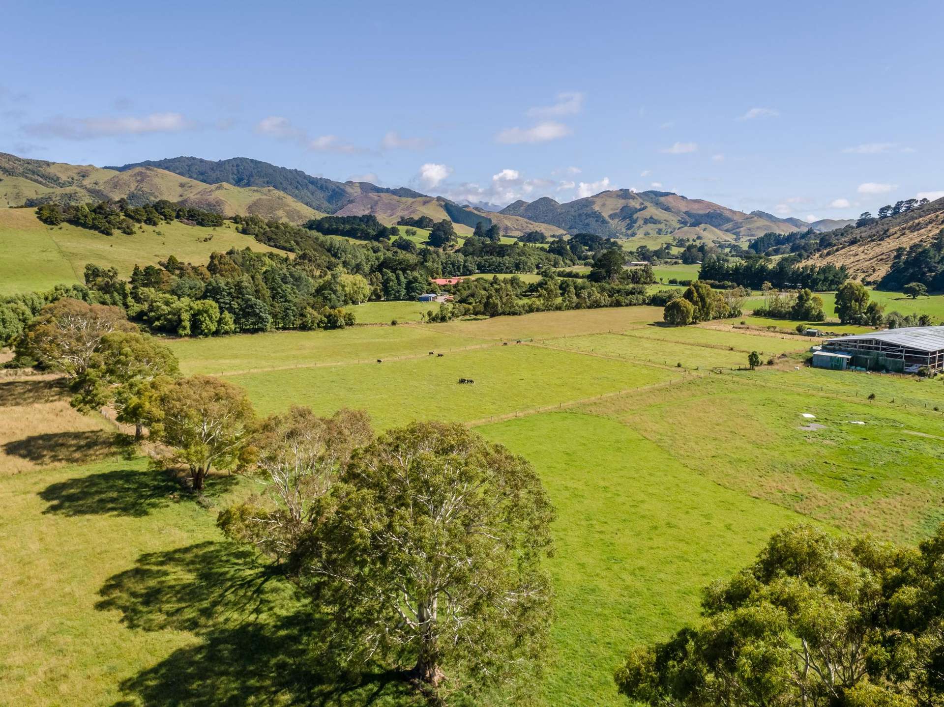 89 Hinau Gully Road Carterton_0