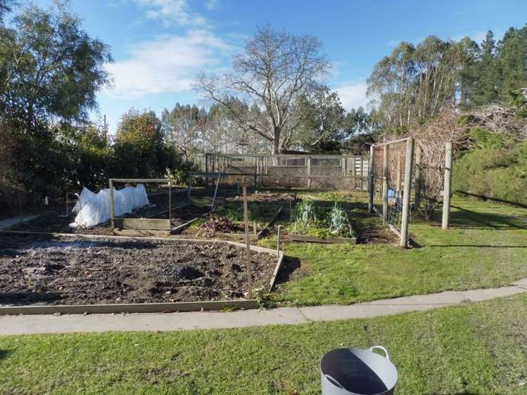 46 Templer Street Geraldine_12