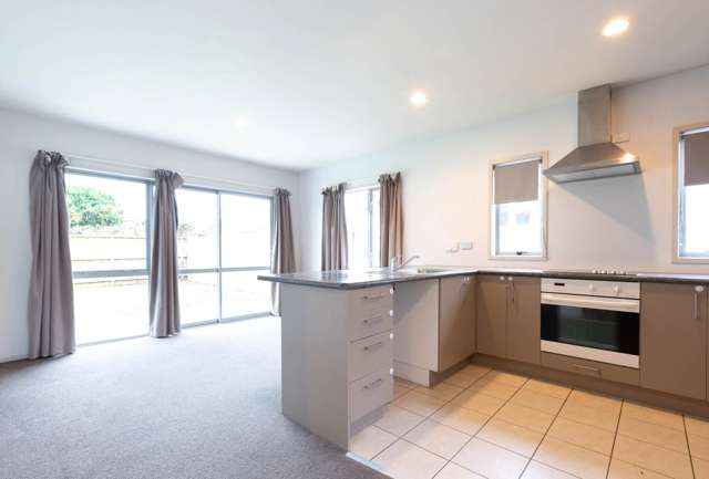 Tuakau Bargain Beauty - Ready Now!