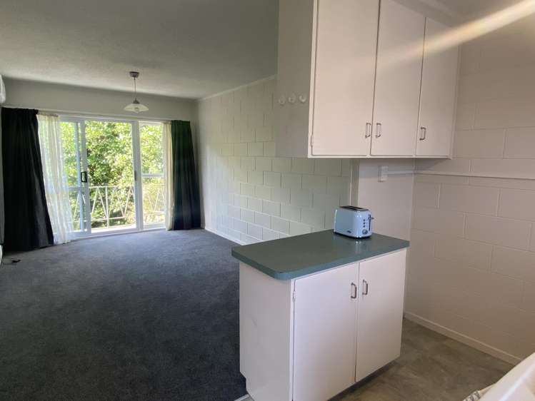 7/8 Edenvale Park Road Mount Eden_8
