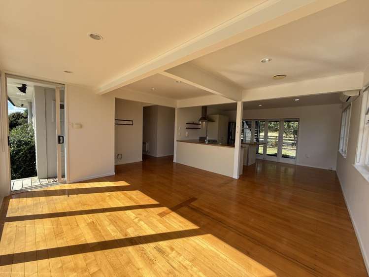 98 Tender Road Dairy Flat_11