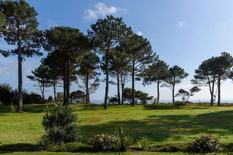 806 Matarangi Drive Matarangi_12