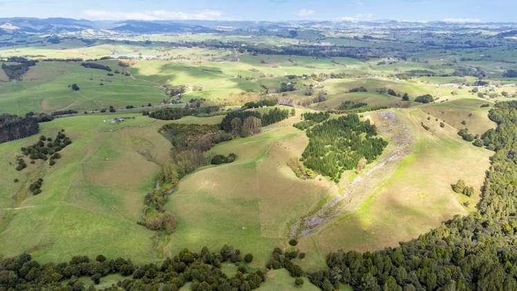 405 Mangawhai Road Wellsford_36