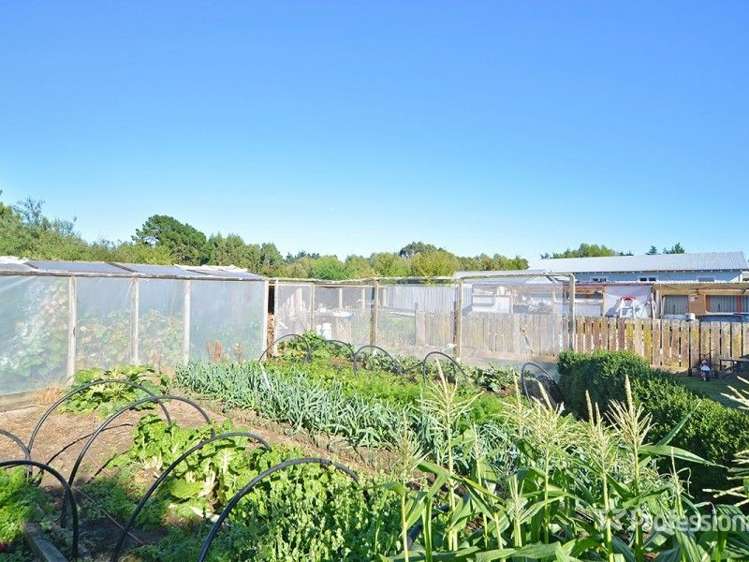 21 Philip Street Carterton_8