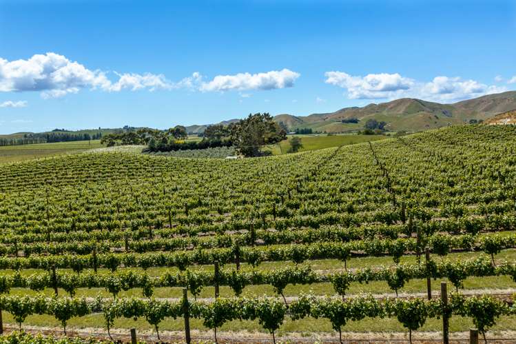 175 Wrekin Road Fairhall_22