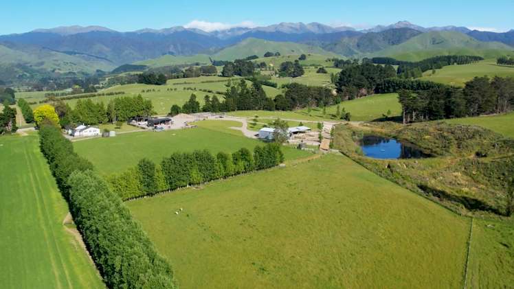 188 Burnetts Road Kaituna_16