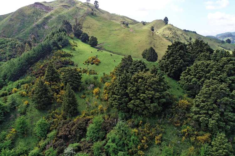 100 Garden Valley Road Brightwater_17