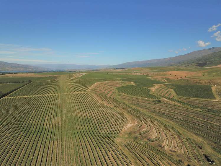 Luggate-Cromwell Road Queensberry_5