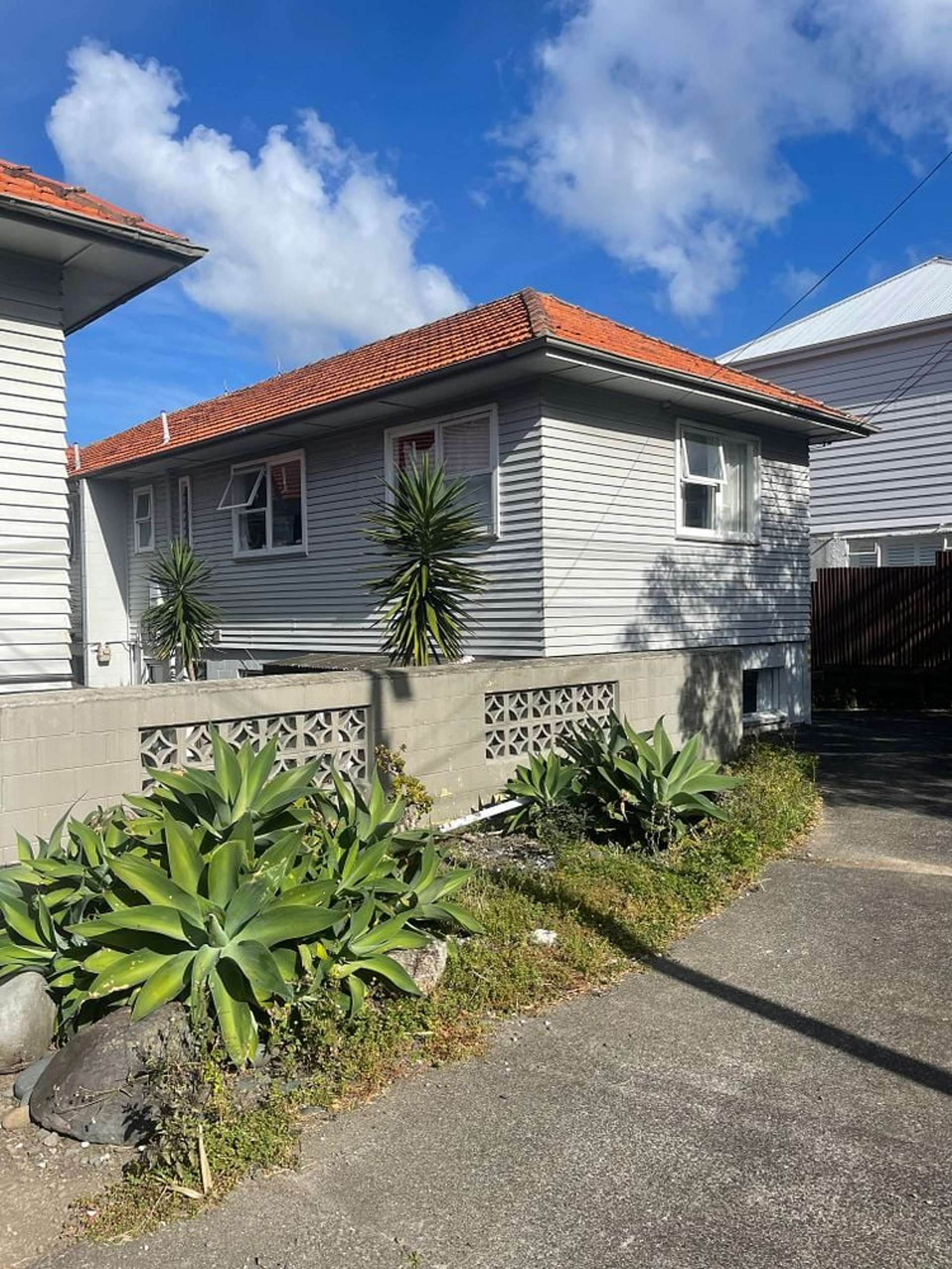 1/36 Scanlan Street Grey Lynn_0