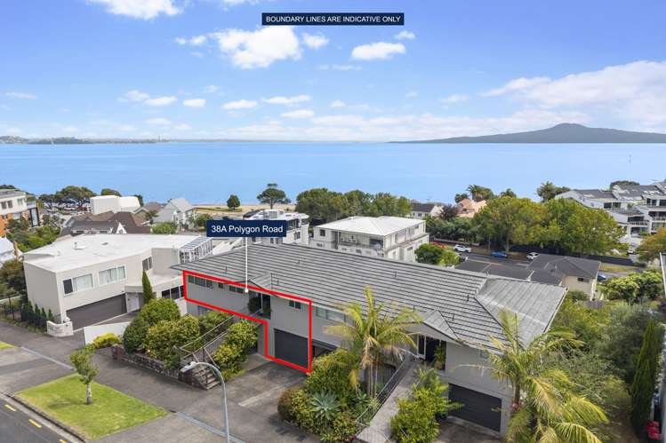 38A Polygon Road St Heliers_16