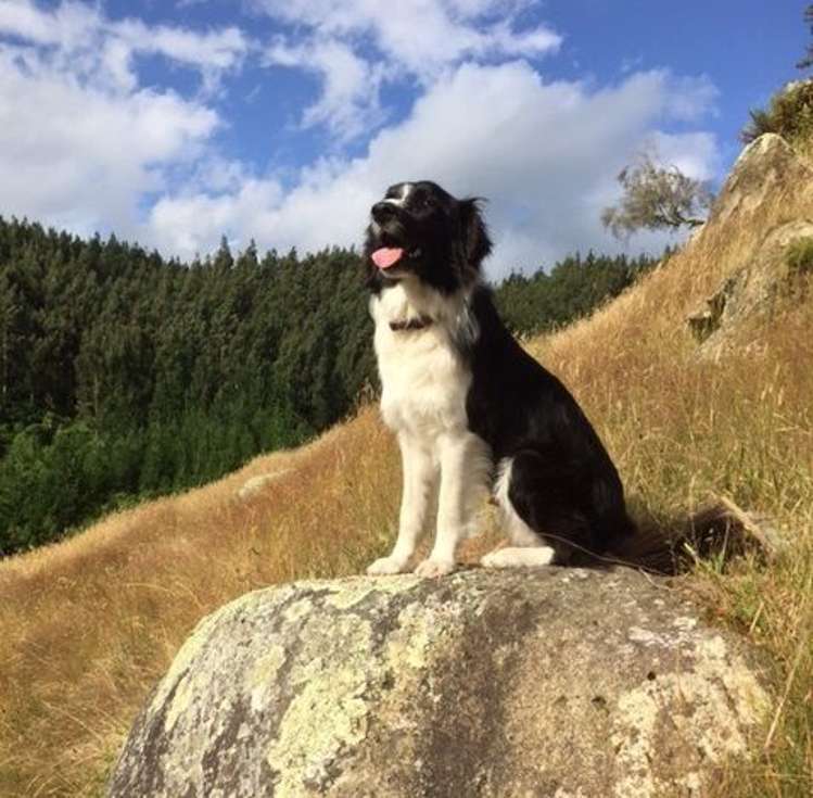 53 Worth Road Putaruru_7