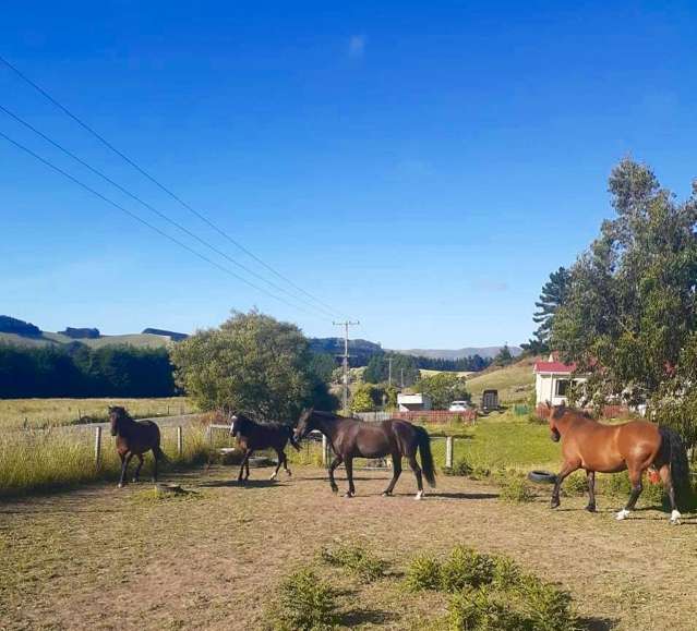 4942 Hampden-Palmerston Road Moeraki_4