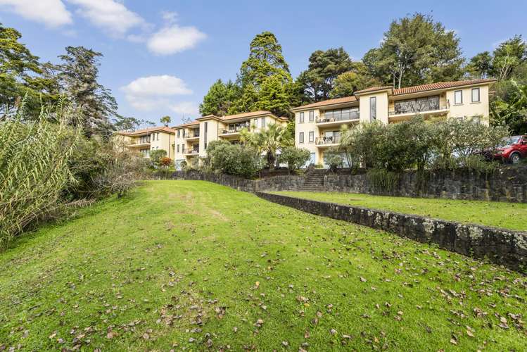 7/7 The Avenue Albany_16