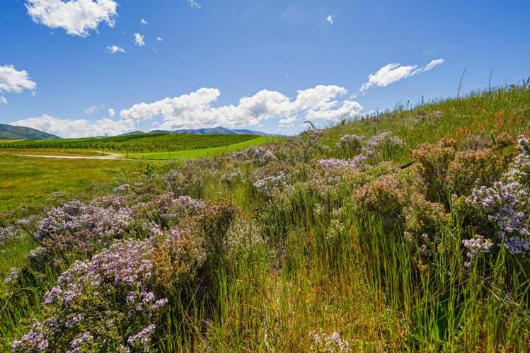 25 Northridge Road, Waikerikeri Alexandra_13