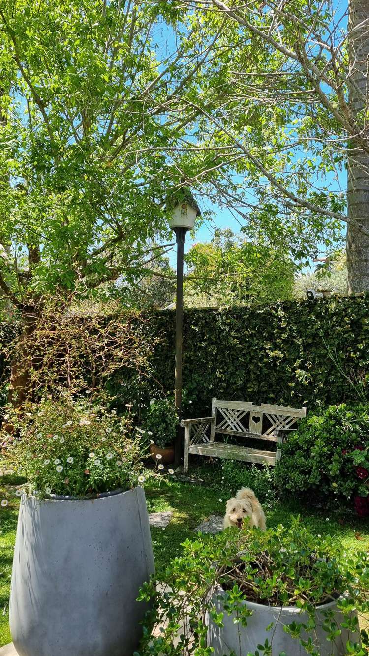 90a Ngataringa Road Devonport_41