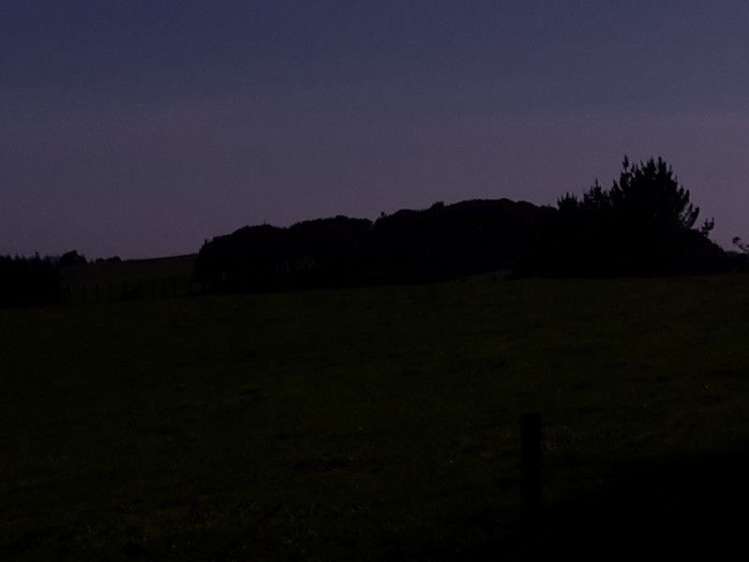 346 Rugby Road Tariki_47